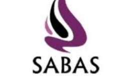 South Asian Business Association at Stern